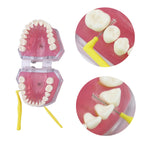 NoviaGlow 5-in-1 Portable Dental Cleaning Kit